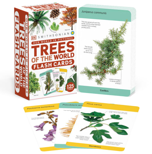 Our World in Pictures: Trees of the World Flashcards