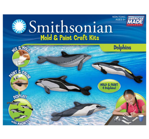 Eyewitness Dolphin Kit