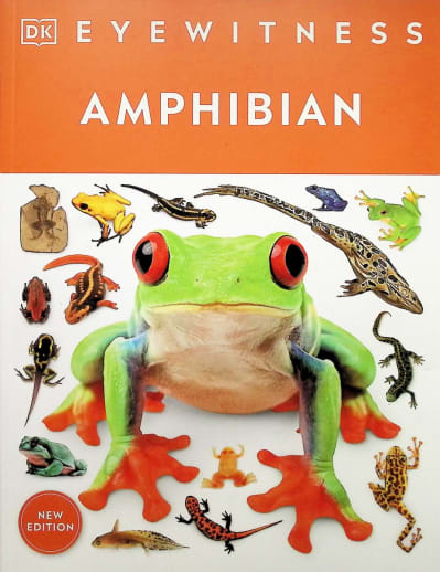 Eyewitness Amphibian
