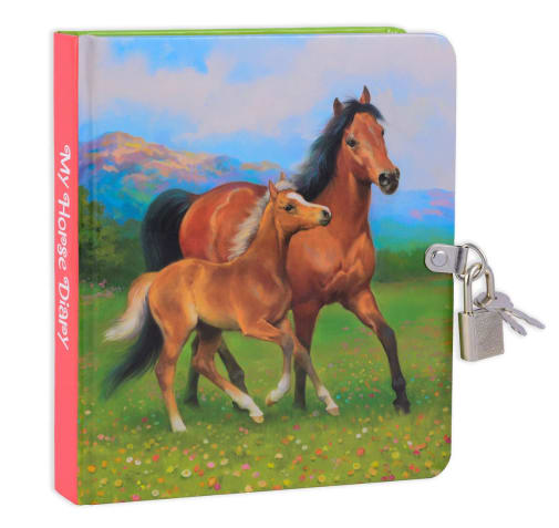 Horse Lock & Key Diary