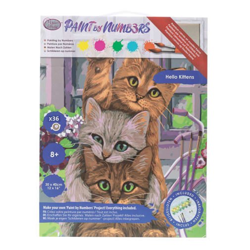 Large Paint by Number - Hi Kitten