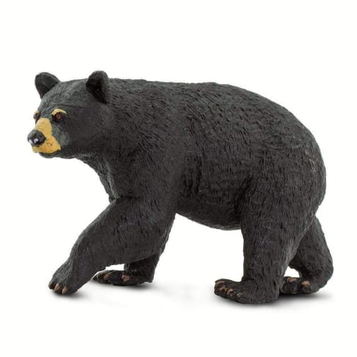 Black Bear (Wild Safari Forest)