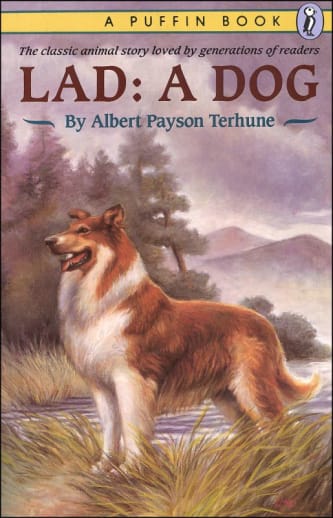 Lad: A Dog