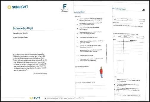 Science Level F 4-Day Extra Activity Sheets (2020)