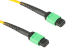 MPO Cable, 12-Strand, OS2, LSZH, UPC, Type B, Female Key Up to Female Key Up, 5 Meters