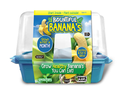 Bountiful Bananas (Sprouter Greenhouse)