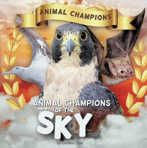Animal Champions of the Sky (Animal Champions)
