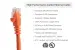 CAT6A Ethernet Patch Cable, Half-moon Boot, UTP, 25 ft, Orange