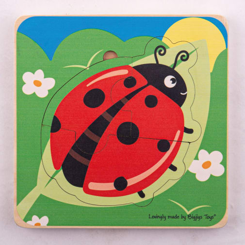 Lifecycle Layer Puzzle - Ladybug
