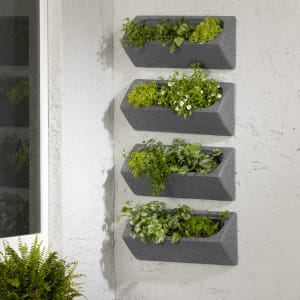 Dalya - Outdoor Wall Planter – Set of 4 Dalya - Outdoor Wall Planter – Set of 4