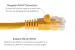 Cat6A Ethernet Patch Cable, Half-moon Boot, UTP, 2 ft, Yellow