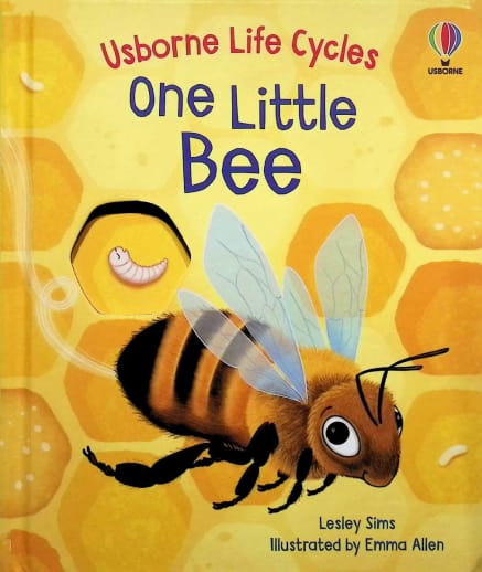 One Little Bee (Usborne Life Cycles)