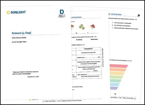 Science Level D 4-Day Extra Activity Sheets (2020)