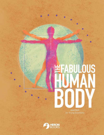 Fabulous Human Body - Anatomy for Young Scientists