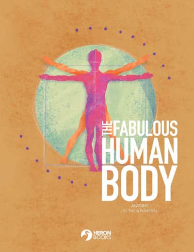 Fabulous Human Body - Anatomy for Young Scientists
