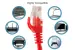 Cat5e Ethernet Patch Cable, Snagless, UTP, 1 ft, Red