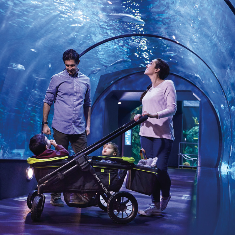 Pivot Xplore™All-Terrain Stroller Wagon Lifestyle Photo Pivot Xplore™All-Terrain Stroller Wagon Lifestyle Photo