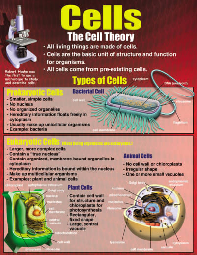Living Organisms Teaching Poster Set