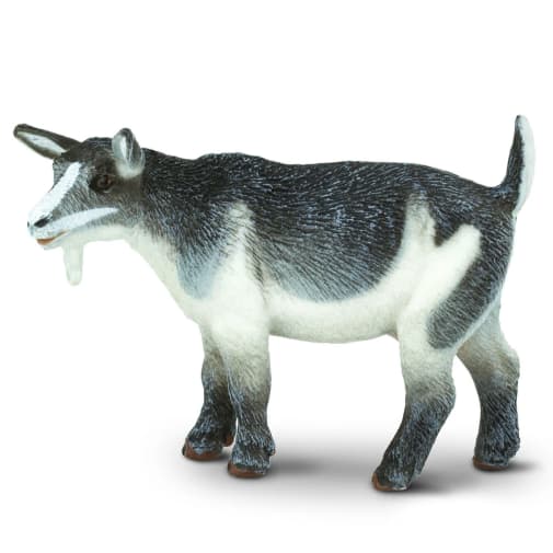 Pygmy Nanny Goat (Safari Farm)