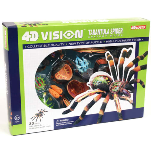 4D Vision Tarantula Spider Anatomy Model