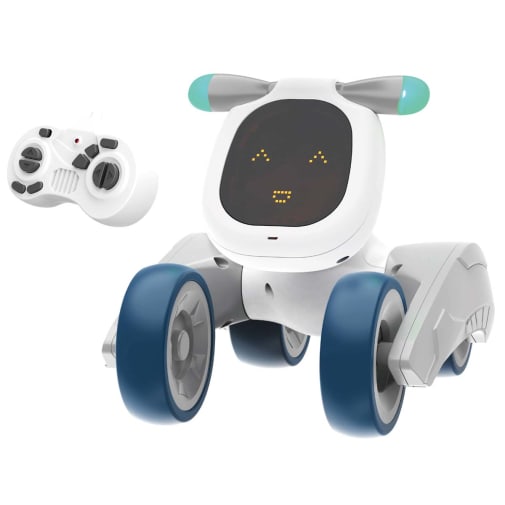 D.O.G. Robot