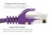 Cat6 Ethernet Patch Cable, Snagless, UTP, 1 ft, Purple