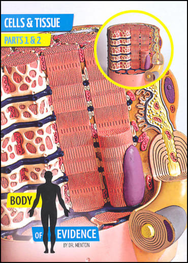 Body of Evidence 1: Cells & Tissue DVD