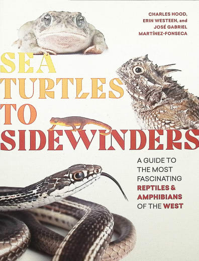 Sea Turtles to Sidewinders