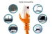 Cat6 Ethernet Patch Cable, Snagless, UTP, 1 ft, Orange