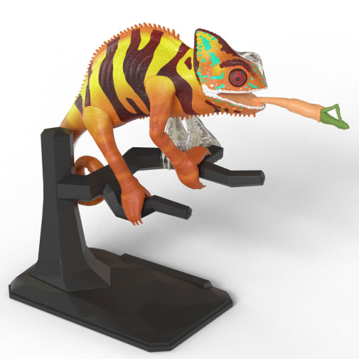 4D Chameleon Model