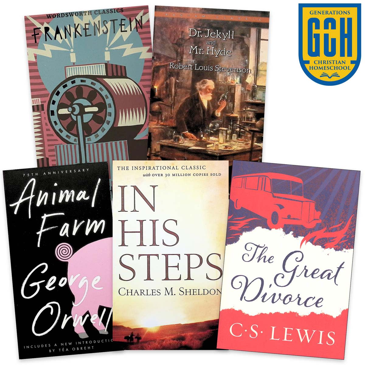Generations Homeschool Grade 11 Literature Package