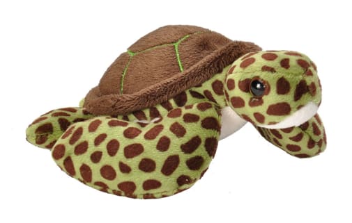 Pocketkins Green Sea Turtle 5" Plush