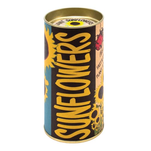 Sunflowers Kit Grow-A-Tree Kit