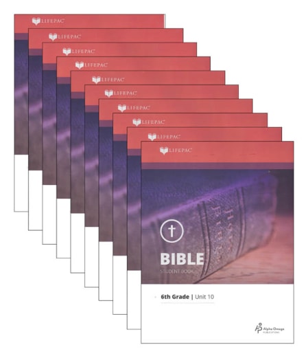Bible 6 Lifepacs Only