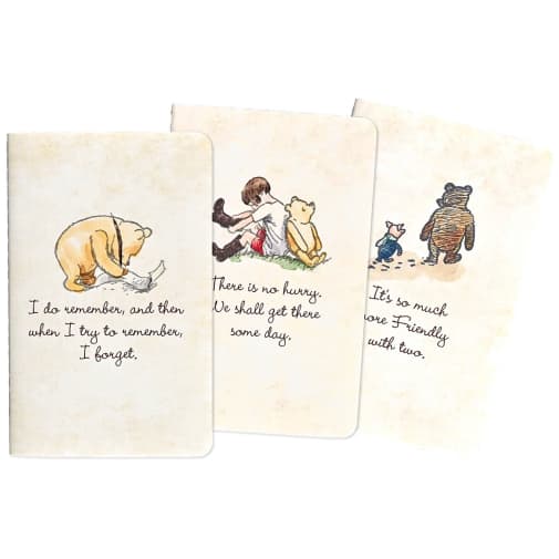 Jotter Notebooks - set of 3 - Winnie-The-Pooh