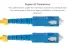 2 Meters SC-SC OS2 UPC Fiber Patch Cable, 9/125 Singlemode Duplex