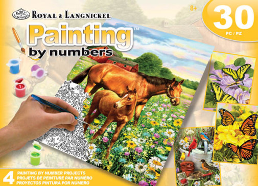 Paint By Number Country Flowers