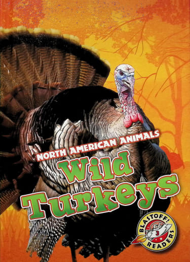 Wild Turkeys (Blastoff Reader)