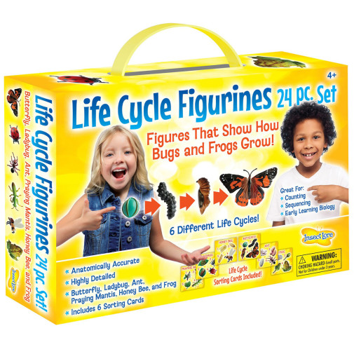 Life Cycle Figurines (24 Piece Set)