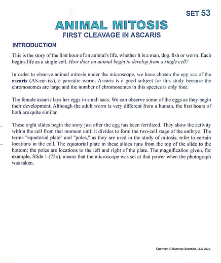 Animal Mitosis Microslide Lesson Set
