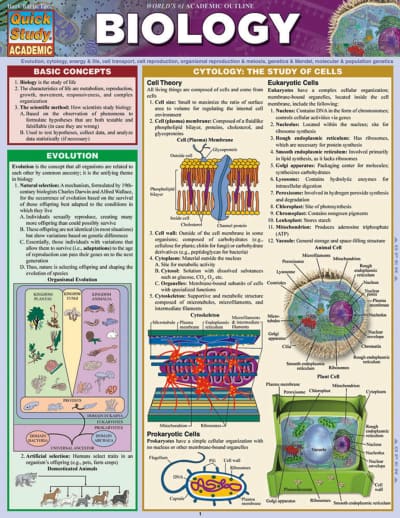 Biology Quick Study