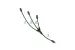 23FT 14/3 STW Green Triple Line in Win Cord - AD190723