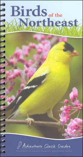 Birds of the Northeast (Adventure Quick Guides)
