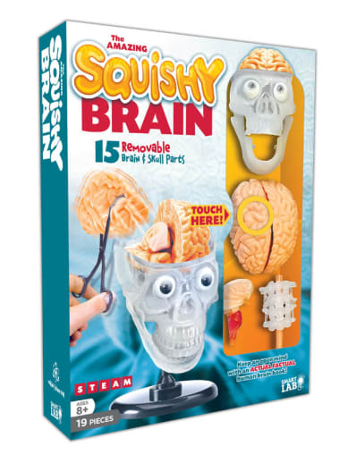 Squishy Brain