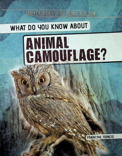 What Do You Know About Animal Camouflage? (Crazy Creatures of the Animal Kingdom)