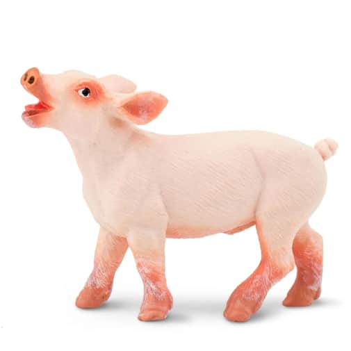 Safari Piglet (Farm Collection)