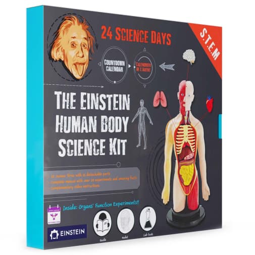 Einstein Human Body Science Kit