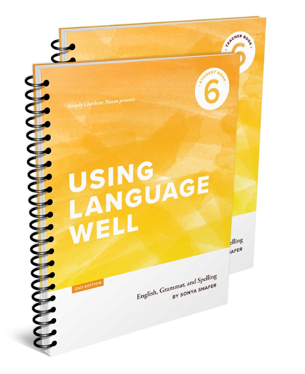 Using Language Well Book 6 Bundle (2nd Edition)