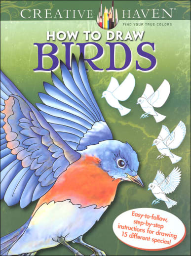 How to Draw Birds (Creative Haven How to Draw)