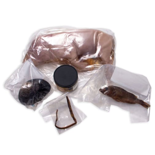 Science Shepherd Dissection Specimens ( Set of 5)